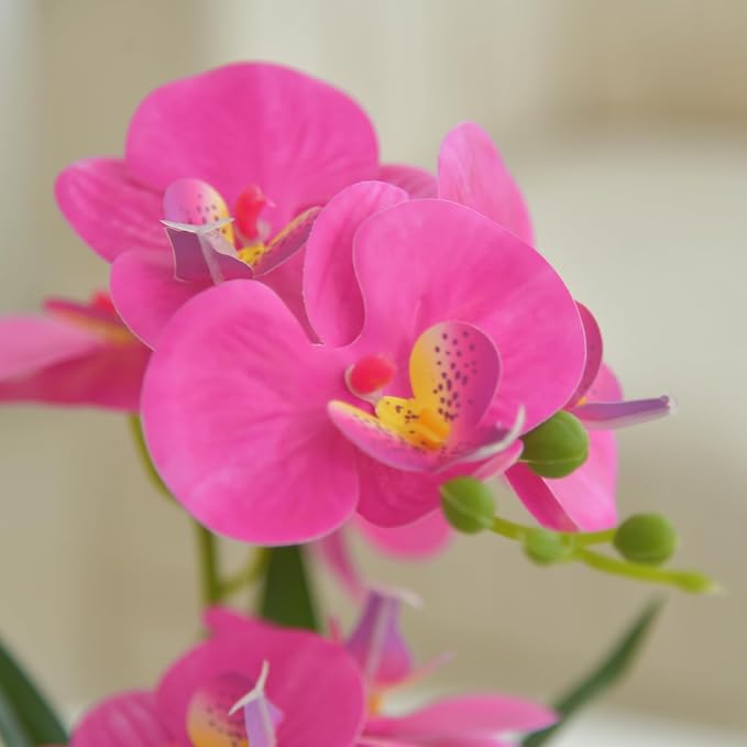Artificial Real Touch Orchid Flowers in Pot Fake Phalaenopsis Flower with White Ceramic Vase Faux Orchids Arrangement for Home Table Office Wedding Party Decoration (Purple Red)