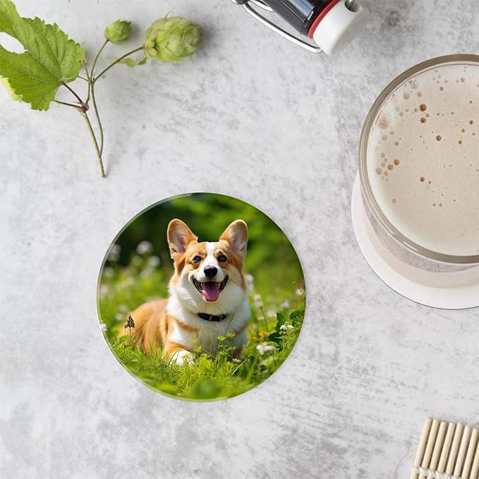 Welsh Corgi on Green Grass Colorful Set of 4 Ceramic Coasters with Holder,Absorbent Drink Bar Coasters,Table Coasters