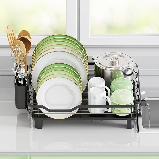 ROTTOGOON Dish Drying Rack, Stainless Steel Rustproof Dish Rack for Kitchen Counter, Sturdy Dish Drainer with Drainboard, Drainage, Utensil Holder for Various Kitchenware, 16.2"(L) x 12.6"(W), Black