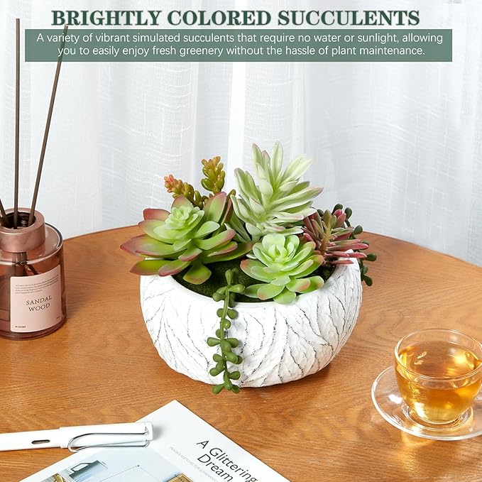 6 Inch Artificial Succulent Plant in White Ceramic Pot - Realistic Fake Succulent for Home Office Desk Bathroom Decor Coffee Table Decor