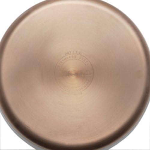 BonJour Tea Stainless Steel and Copper-Base Gooseneck Teapot / Teakettle, 2-Quart