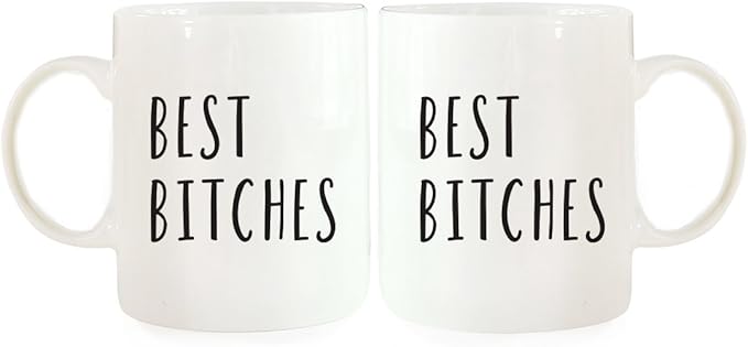 Andaz Press Funny Couples 11 oz Ceramic Coffee Mugs, Best Bitches, His and Hers Mugs Set of 2, Valentines Day Coffee Mug for Him and Her, Mr and Mrs Mugs, Couple Mugs for Husband and Wife