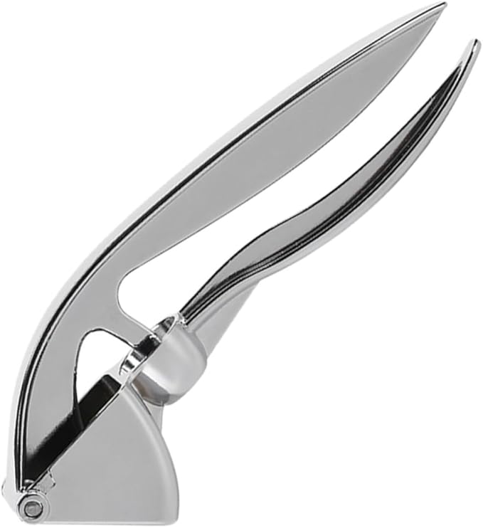 KICHOUSE Stainless Steel Garlic Press Squeezer Mincer Tool Manual Garlic Masher Kitchen Essential