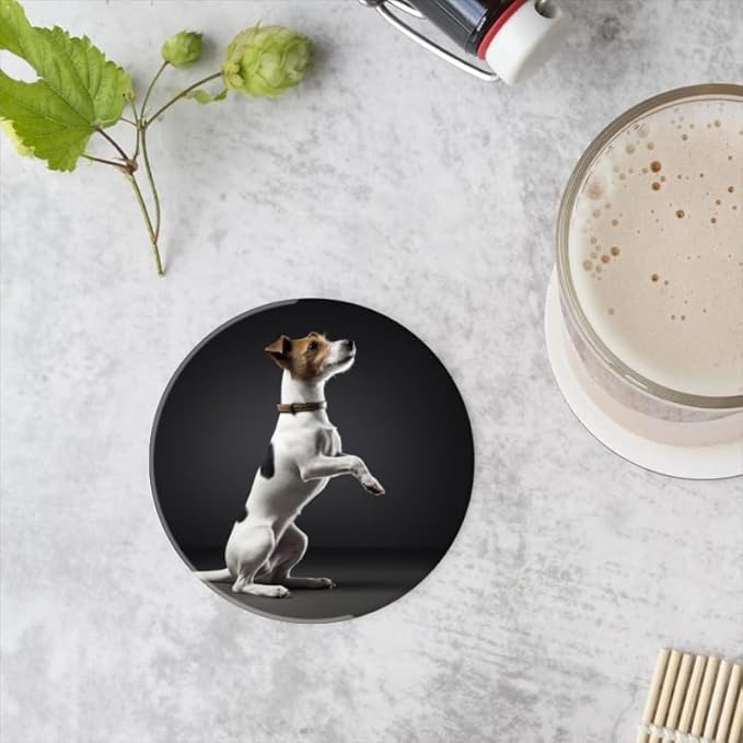 Ceramic Stone Coasters for Drinks Set of 1, White and Brown Jack Russell Terrier Dog Round Absorbent Cup Coasters Protection for Coffee Table Kitchen Counter Decor (4 * 4 Inch)