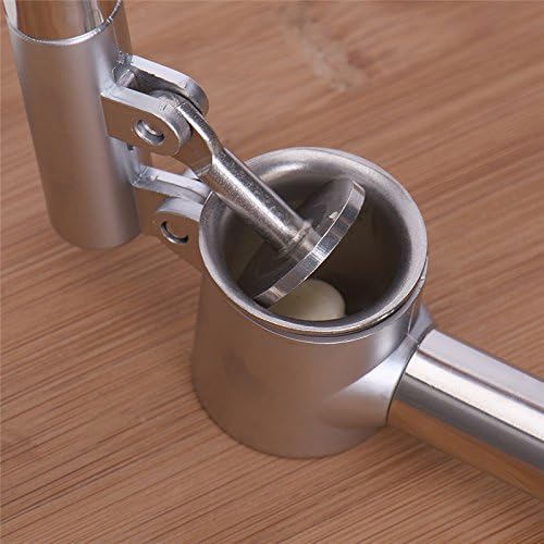 Oye Stainless Steel Garlic Press