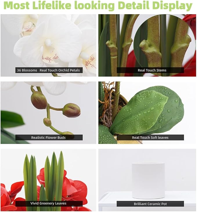 CXGS Artificial Orchid Flower Plants Real Touch Faux Orchids in Ceramic Vase 20.9'' White Phalaenopsis Orchid Fake Flower Arrangement Home Indoor Decor