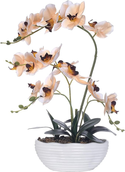 19" H Phalaenopsis Faux Orchid Plant Silk Orchid Centerpiece Artificial Floral Arrangement in Ceramic Pot (Champagne)