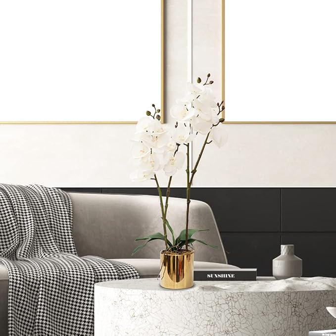 CXGS Artificial Orchid Flower Plant Real Touch Faux Orchids in Ceramic Vase White 19.7'' Fake Phalaenopsis Flower Arrangement Centerpiece Home Indoor Decor