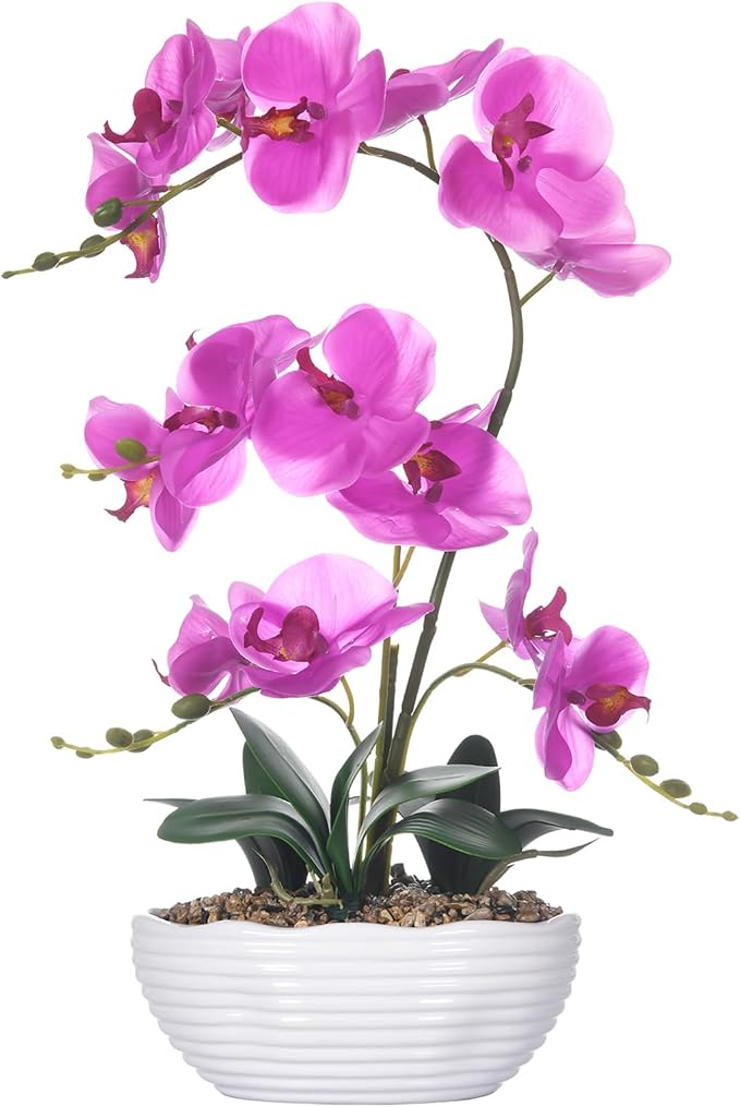 19" H Phalaenopsis Faux Orchid Plant Silk Orchid Centerpiece Artificial Floral Arrangement in Ceramic Pot (Fuchsia)
