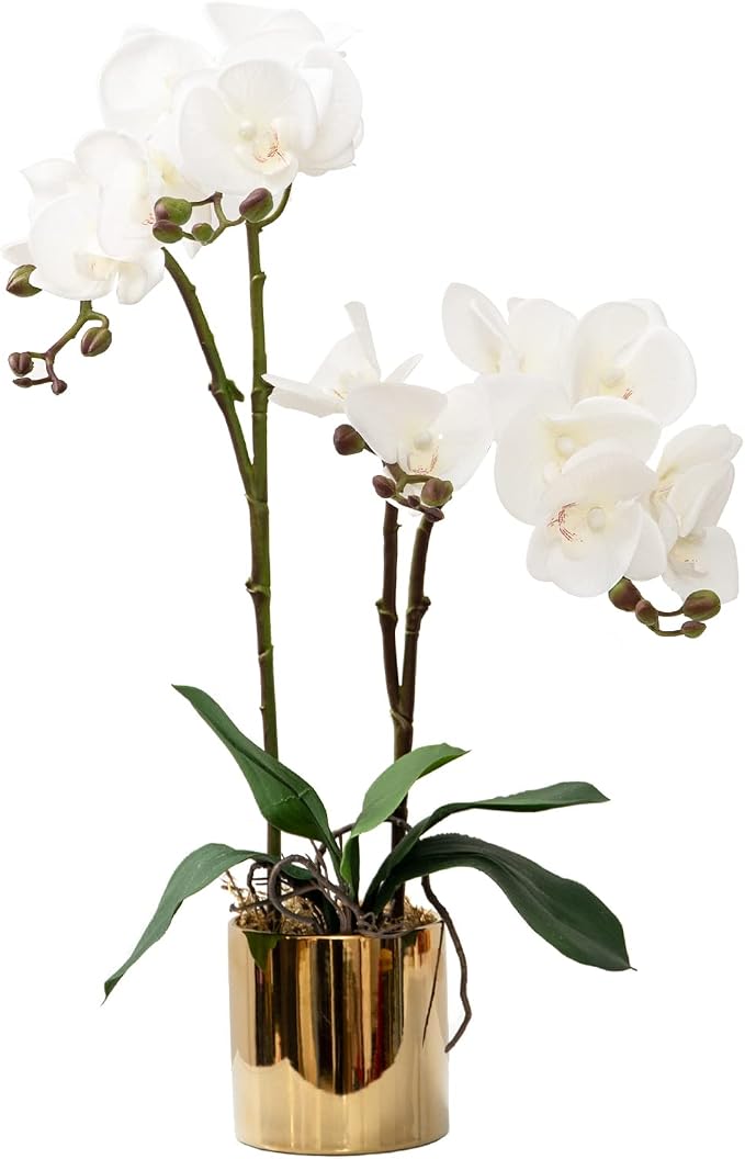 CXGS Artificial Orchid Flower Plant Real Touch Faux Orchids in Ceramic Vase White 19.7'' Fake Phalaenopsis Flower Arrangement Centerpiece Home Indoor Decor