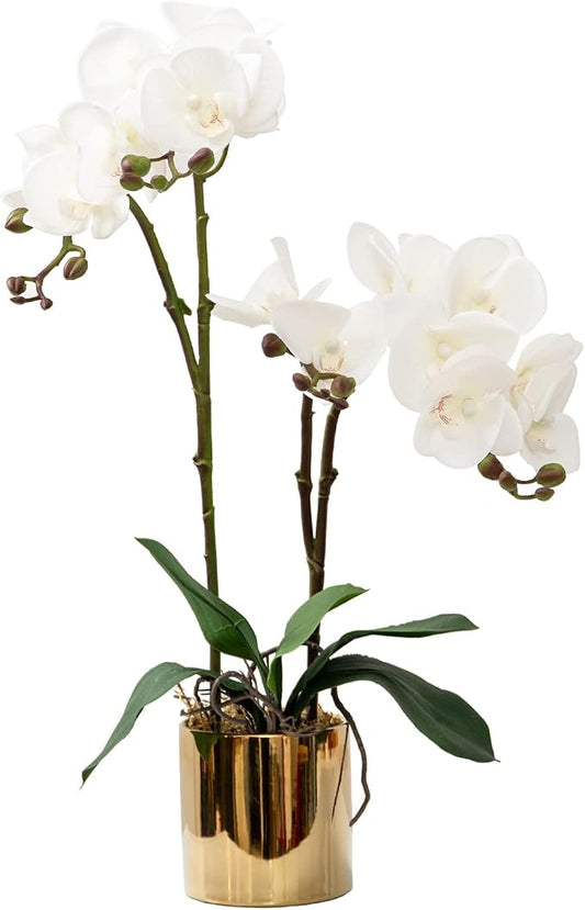CXGS Artificial Orchid Flower Plant Real Touch Faux Orchids in Ceramic Vase White 19.7'' Fake Phalaenopsis Flower Arrangement Centerpiece Home Indoor Decor
