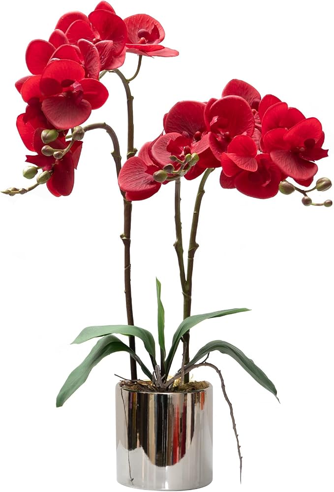 CXGS Artificial Orchid Flower Plant Real Touch Faux Orchids in Ceramic Vase Red 19.7'' Fake Phalaenopsis Flower Arrangement Centerpiece Home Indoor Decor