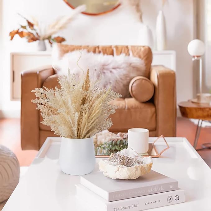 Hollyone Faux Pampas Grass with Vase, Artificial Pampas Grass Flowers Bouquet Plant Fluffy Boho Home Decor Fake Pompass Pompous Grass Floral Arrangement for Wedding Party Table Room Decorations Taupe