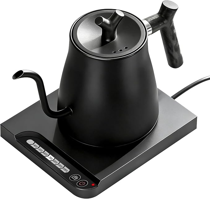 Gooseneck Electric Kettle, 1.0L Pour Over Coffee Kettle with Variable Temperature Control, 1200W Fast Heating, Keep Warm, 100% Stainless Steel Interior, Matte Black