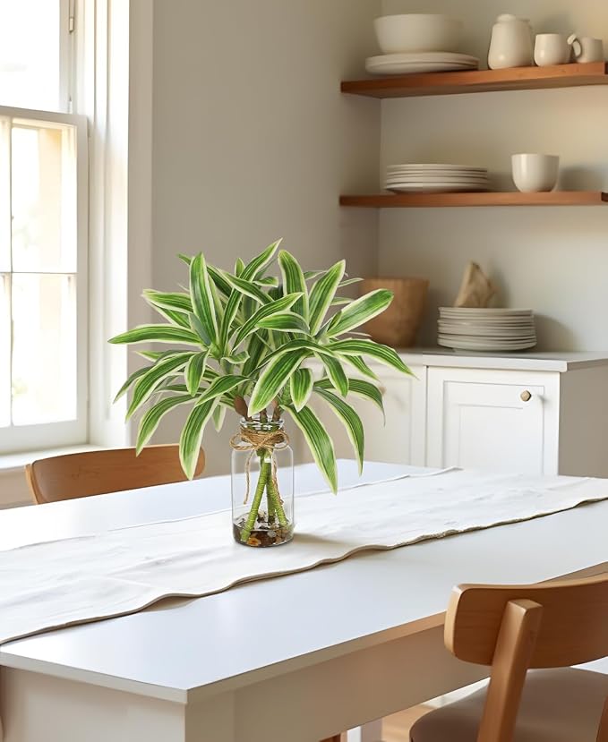 Faux Greenery Stems in Vase Dracaena Aritificial Plant in Glass Vase with Faux Water & Stones 15.7" Small Potted Plants Arrangement Centerpieces for Farmhouse Kitchen Dinner Tables Greenery Decor