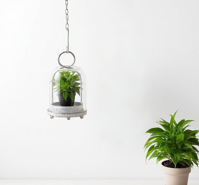 7.5" High Versatile Modern Metal Hurricane Lantern with Handmade Sturdy Glass Dome in Shabby White for 2" Pillar Candle & Plants, Industrial, Farmhouse (White Shabby, 4" x7.5 for 2" Pillar)