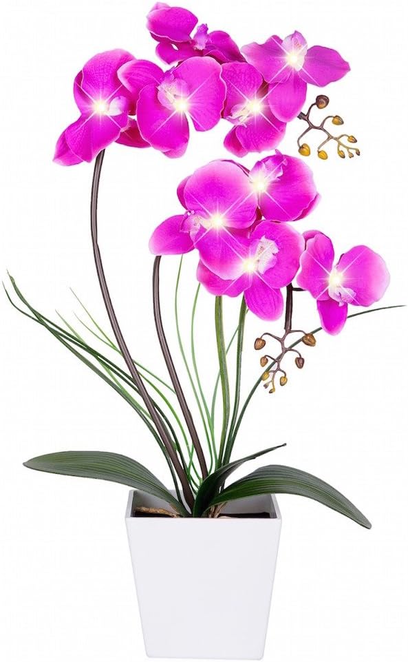HOMESEASONS Orchid Lamp-LED Lighted Orchid Arrangements,Pre Lit Artificial Orchid,Light Up Flower Lights, Faux Orchid Phalaenopsis Arrangement (Purple)
