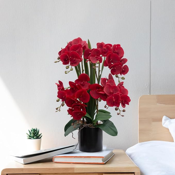 CXGS Artificial Orchid Flower Plants Real Touch Faux Orchids in Ceramic Vase 20.9'' Red Phalaenopsis Orchid Fake Flower Arrangement Home Indoor Decor