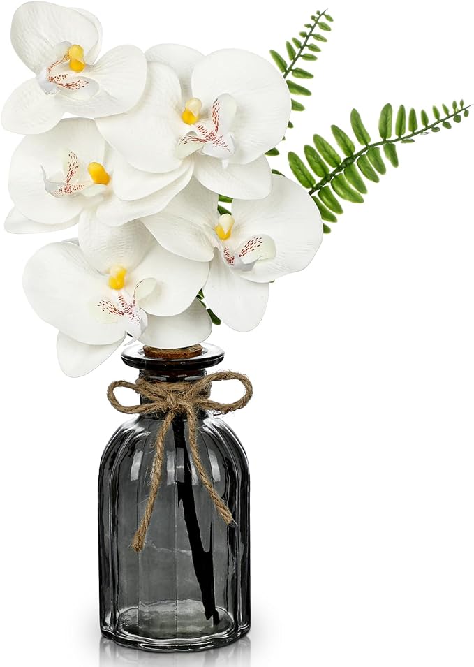 Artificial Orchids Flowers in Vase Faux Orchids Arrangement Small White Orchid with Plant in Glass Vase Black and White Decor Fake Phalaenopsis Orchid Centerpiece for Bathroom Dining Room Table