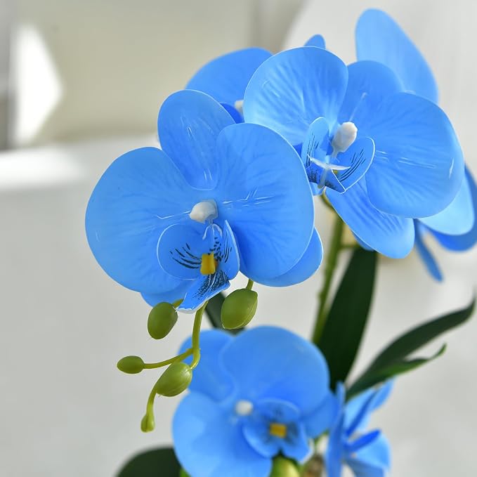 Artificial Real Touch Orchid Flowers in Pot Fake Phalaenopsis Flower with White Ceramic Vase Faux Orchids Arrangement for Home Table Office Wedding Party Decoration (Blue)