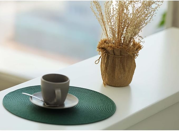 FunWheat Round Braided Placemats Set of 6 Place Mats for Dining Tables Woven Washable Non-Slip Table mats Small 13 inch(S Green, 6pcs)