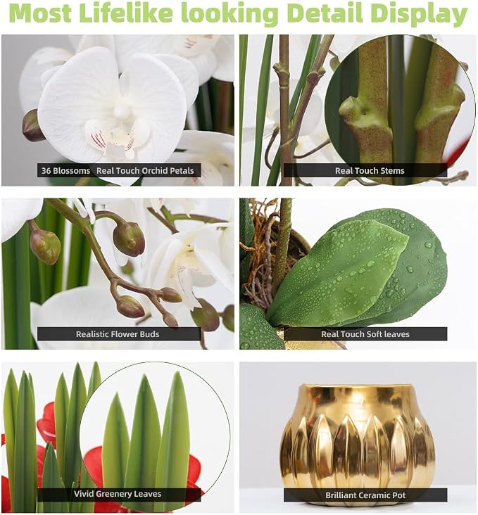 CXGS Artificial Orchid Flower Real Touch Faux Orchids in Ceramic Vase Large 22.9'' Fake Flowers White Phalaenopsis Floral for Home Indoor Decor
