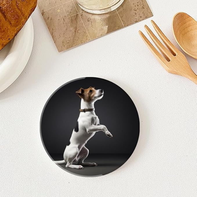 Ceramic Stone Coasters for Drinks Set of 1, White and Brown Jack Russell Terrier Dog Round Absorbent Cup Coasters Protection for Coffee Table Kitchen Counter Decor (4 * 4 Inch)