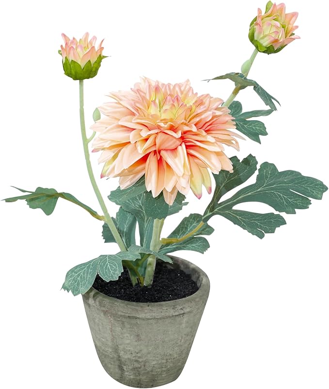 Champagne Dahlia Flowers Fake Silk Mums Flower Artificial Chrysanthemum Flowers Faux Flowers for Vase Mums in Pot Spring Decor Coffee Table Home Party Decoration