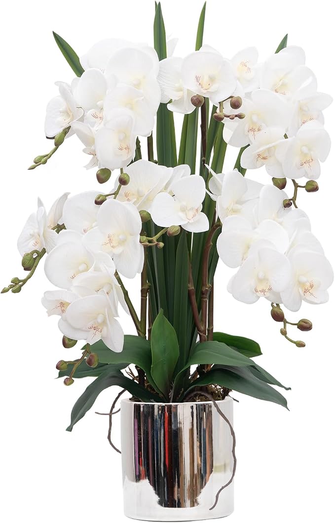 CXGS Artificial Orchid Flower Plants Real Touch Faux Orchids in Ceramic Vase 20.9'' White Phalaenopsis Orchid Fake Flower Arrangement Home Indoor Decor