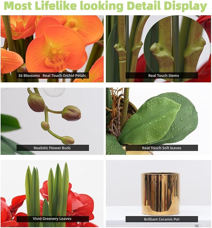 CXGS Artificial Orchid Flower Plants Real Touch Faux Orchids in Ceramic Vase 20.9'' Orange Phalaenopsis Orchid Fake Flower Arrangement Home Indoor Decor