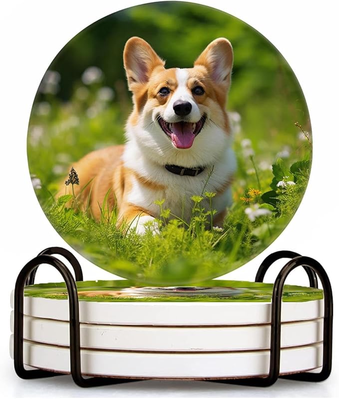 Welsh Corgi on Green Grass Colorful Set of 4 Ceramic Coasters with Holder,Absorbent Drink Bar Coasters,Table Coasters
