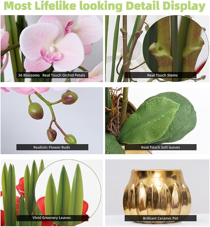 CXGS Artificial Orchid Flower Real Touch Faux Orchids in Ceramic Vase Large 22.9'' Fake Flowers Pink Phalaenopsis Floral for Home Indoor Decor