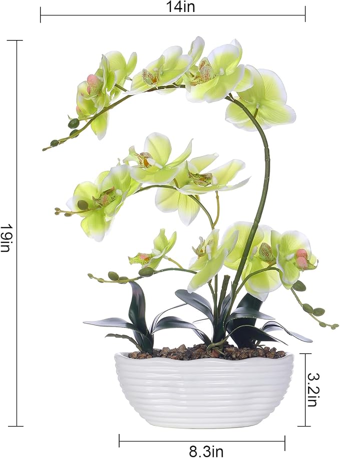 19" H Phalaenopsis Faux Orchid Plant Silk Orchid Centerpiece Artificial Floral Arrangement in Ceramic Pot (Apple Green)