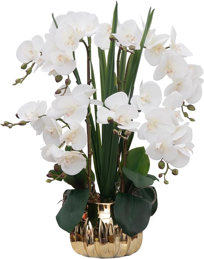CXGS Artificial Orchid Flower Real Touch Faux Orchids in Ceramic Vase Large 22.9'' Fake Flowers White Phalaenopsis Floral for Home Indoor Decor
