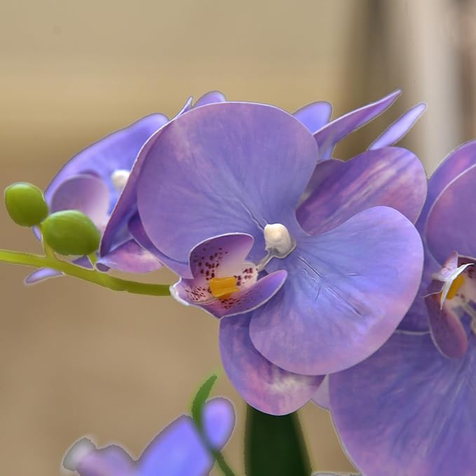 Artificial Real Touch Orchid Flowers in Pot Fake Phalaenopsis Flower with White Ceramic Vase Faux Orchids Arrangement for Home Table Office Wedding Party Decoration (Lavender)