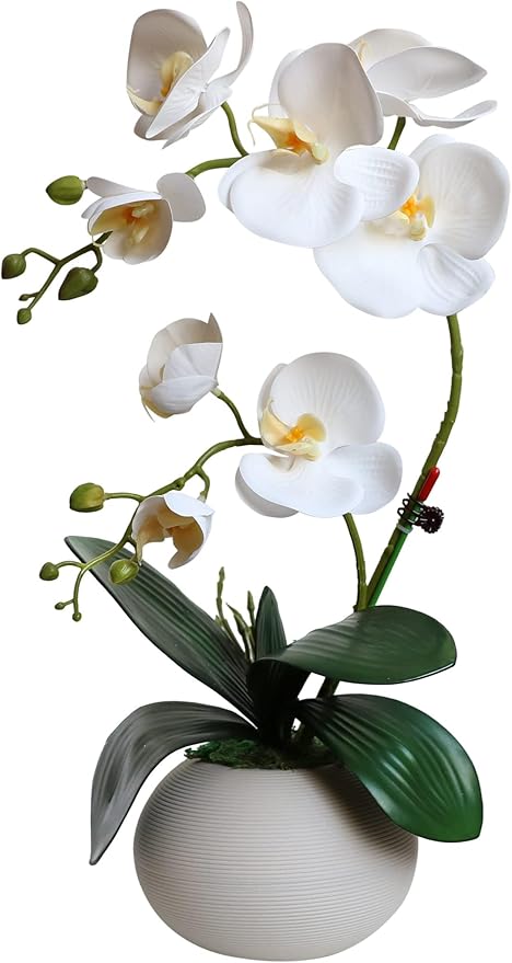 Forlaoers Tall 17" White Real Touch Orchid Artificial Flowers with Vase Fake Orchids Silk Floral for Home Decor Indoor Bathroom Decoration Potted Office Table Top Centerpieces Arrangements