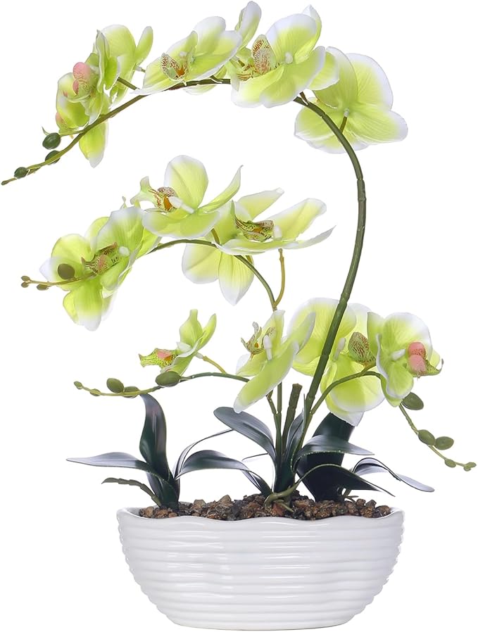 19" H Phalaenopsis Faux Orchid Plant Silk Orchid Centerpiece Artificial Floral Arrangement in Ceramic Pot (Apple Green)