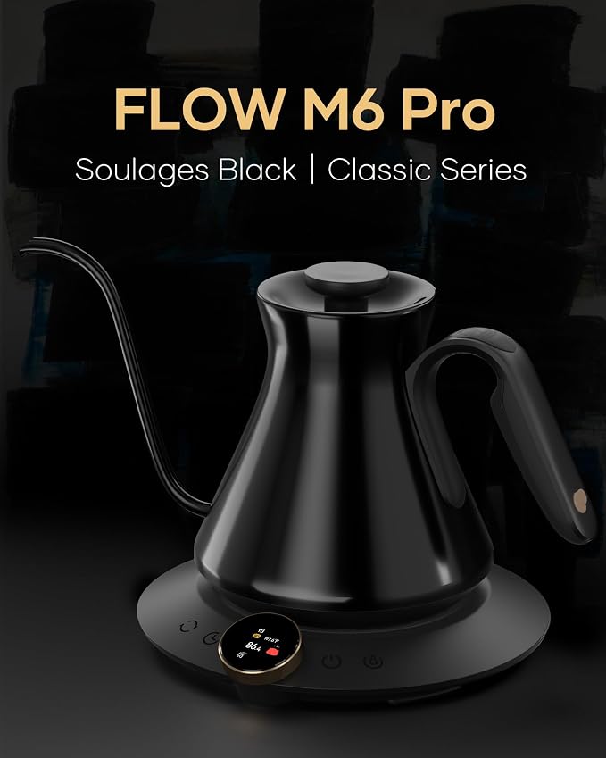 Cocinare Gooseneck Electric Kettle, ±0.5°F Precision Temperature Control for Pour-Over Coffee & Tea, 0.6L, Master Soulages Black Collection