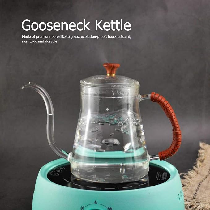 20 oz Gooseneck Pour Over Kettle - Thickened Glass with Lid, Perfect for Coffee and Tea