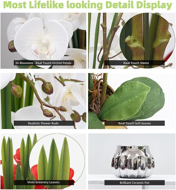 CXGS Artificial Orchid Flower Real Touch Faux Orchids in Ceramic Vase Large 22.9'' Fake Flowers White Phalaenopsis Floral for Home Indoor Decor