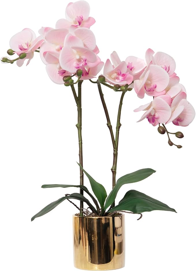 CXGS Artificial Orchid Flower Plant Real Touch Faux Orchids in Ceramic Vase Pink 19.7'' Fake Phalaenopsis Flower Arrangement Centerpiece Home Indoor Decor