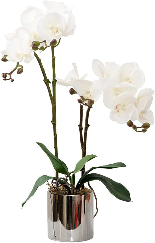 CXGS Artificial Orchid Flower Plant Real Touch Faux Orchids in Ceramic Vase White 19.7'' Fake Phalaenopsis Flower Arrangement Centerpiece Home Indoor Decor