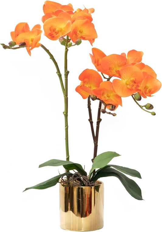 CXGS Artificial Orchid Flower Plant Real Touch Faux Orchids in Ceramic Vase Orange 19.7'' Fake Phalaenopsis Flower Arrangement Centerpiece Home Indoor Decor