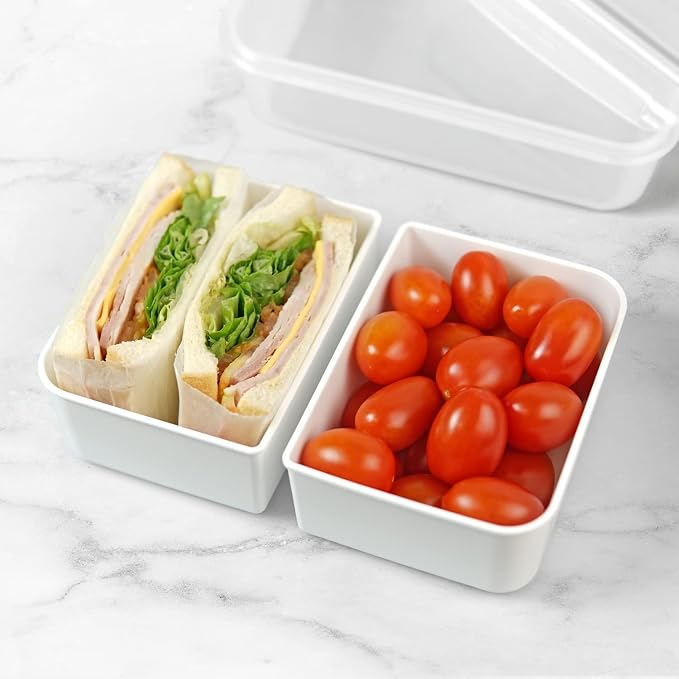 carrotez Food Storage Container with 2 Removable Compartments, Food Prep Container with Airtight Lids, Portion Control Container, Reusable, BPA Free, 6.3 Cup (1500ml)