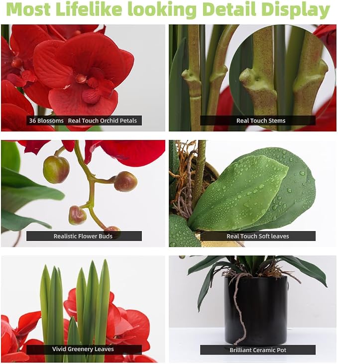 CXGS Artificial Orchid Flower Plants Real Touch Faux Orchids in Ceramic Vase 20.9'' Red Phalaenopsis Orchid Fake Flower Arrangement Home Indoor Decor
