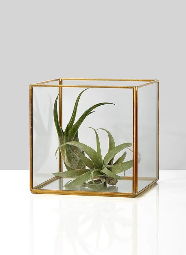 Serene Spaces Living Square Gold Lantern, Measures 5 inches Cube, Sold Individually