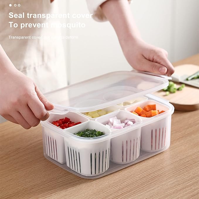 Reusable Veggie Tray with Lid, 6-Compartment Divided Snack Box Container & Fridge Organizer, Meal Prep Spice Case, Divided Food Storage Containers, Chilled Condiment Server & Vegetable Organizer