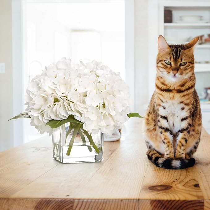 BLEUM CADE Luxury PU Fake Flowers in Vase with Faux Water, White Real Touch Hydrangea Artificial Flowers with Glass Vase for Office Home Dining Room Centerpiece Table Decorations