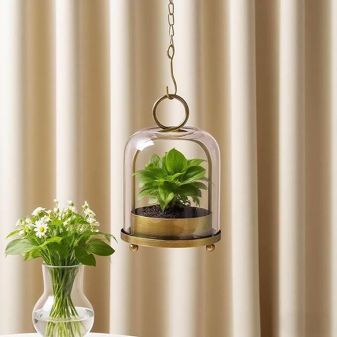 5"x7.5" Versatile Modern Metal Hurricane Lantern with Handmade Sturdy Glass Dome in Antique Brass for 3" Pillar Candle & Plants, Industrial, Farmhouse, Shabby Chic (Brass, 5"x7.5" for 3" Pillar)