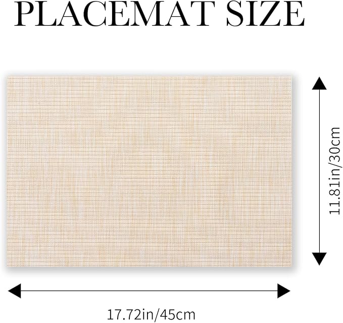 BACKTOEDEN Placemats Set of 6 Heat Resistant Washable Wipeable Placemat Woven Non-Slip Foldable Vinyl/Plastic Place Mats Indoor/Outdoor Mat Kitchen Dining Table Pad, Beige Silver Line